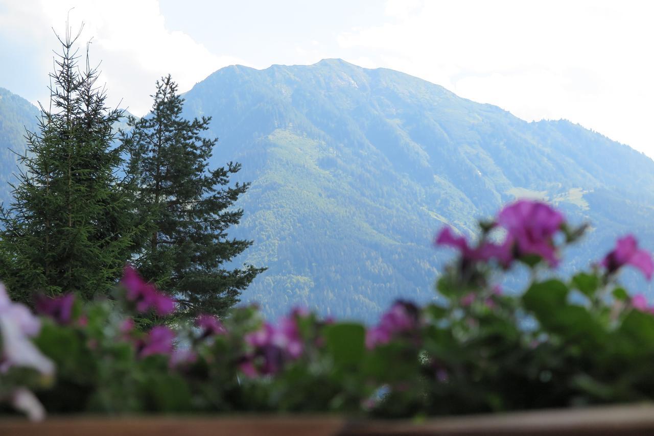 Apartament Haus Enzian Sankt Johann im Pongau Zewnętrze zdjęcie