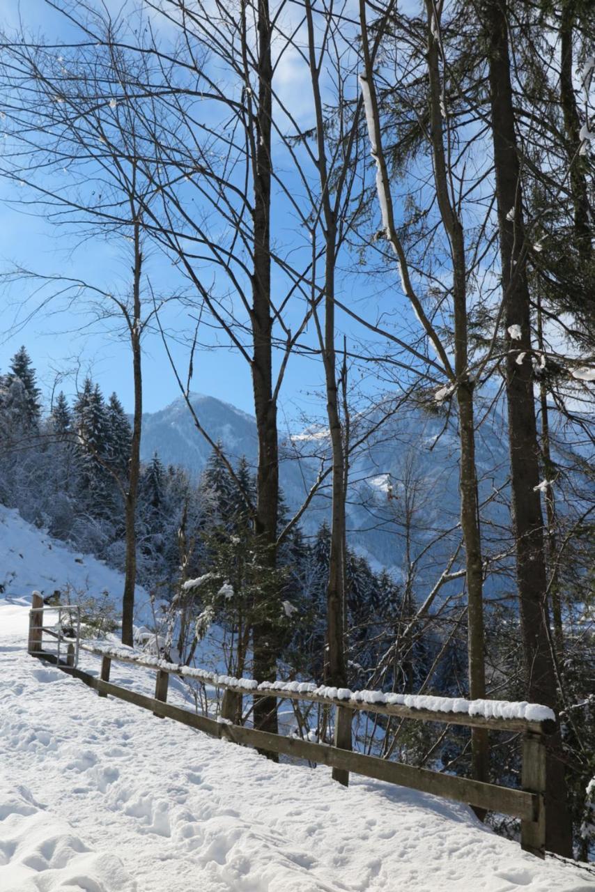 Apartament Haus Enzian Sankt Johann im Pongau Zewnętrze zdjęcie