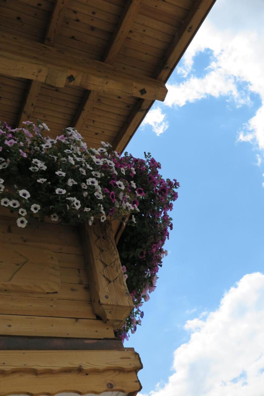 Apartament Haus Enzian Sankt Johann im Pongau Zewnętrze zdjęcie