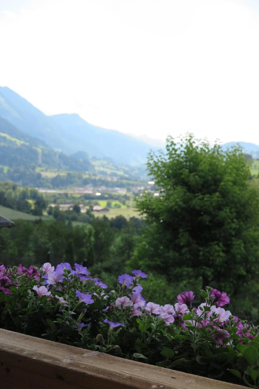 Apartament Haus Enzian Sankt Johann im Pongau Zewnętrze zdjęcie